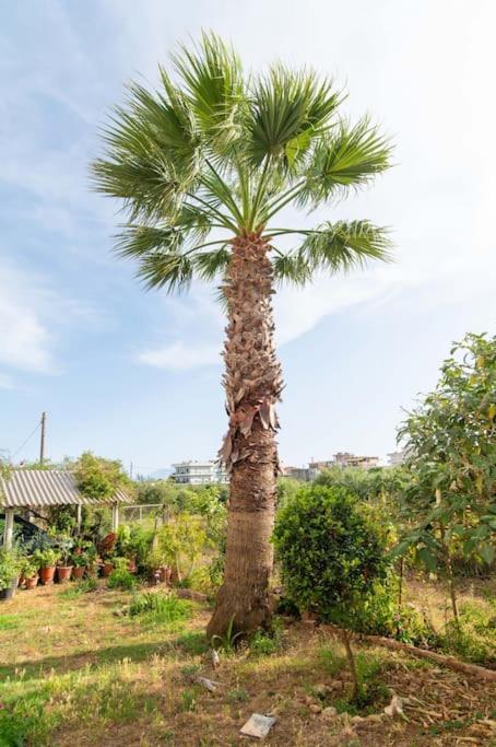 Appartamento Dream House Preveza Esterno foto